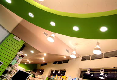 FARMACIA C_Tp/2011